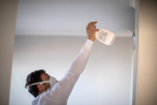 Best Residential Mold Remediation in Childress, TX