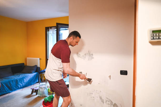 Best Post-Flood Mold Remediation in Childress, TX